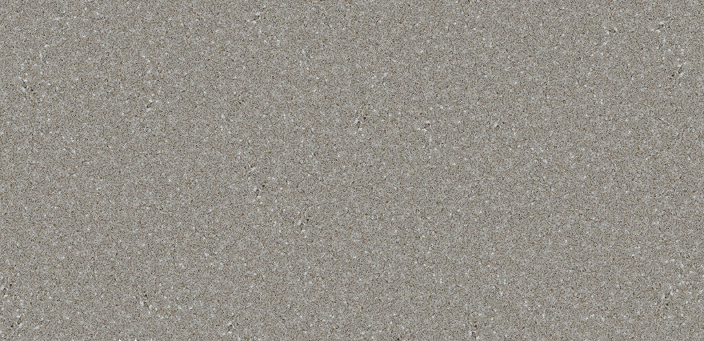 Forest snow