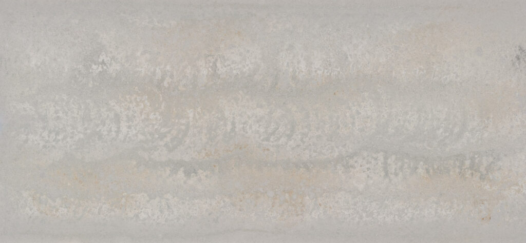 Primordia